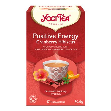 YOGI BIO POZITÍV ENERGIA TEA 17 filter