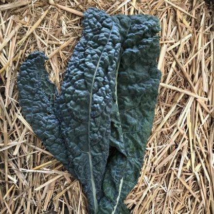 Bio fekete káposzta Cavolo nero 200g